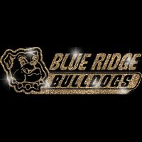 GLT102 GOLD GLITTER Thumbnail